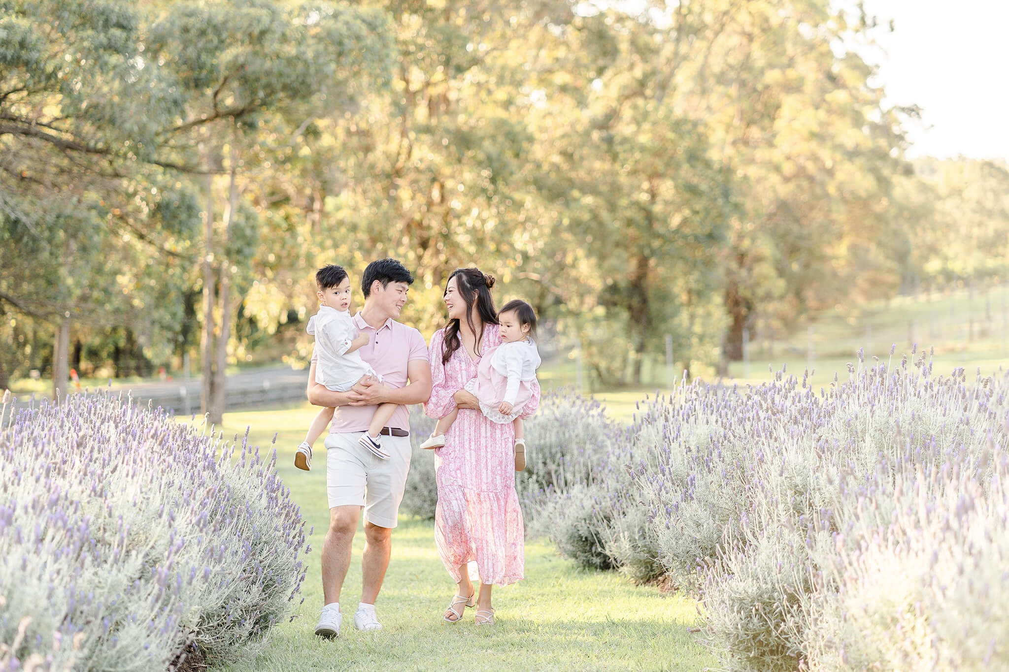 young family having photos taken in brisbane lavender field during golden hour.