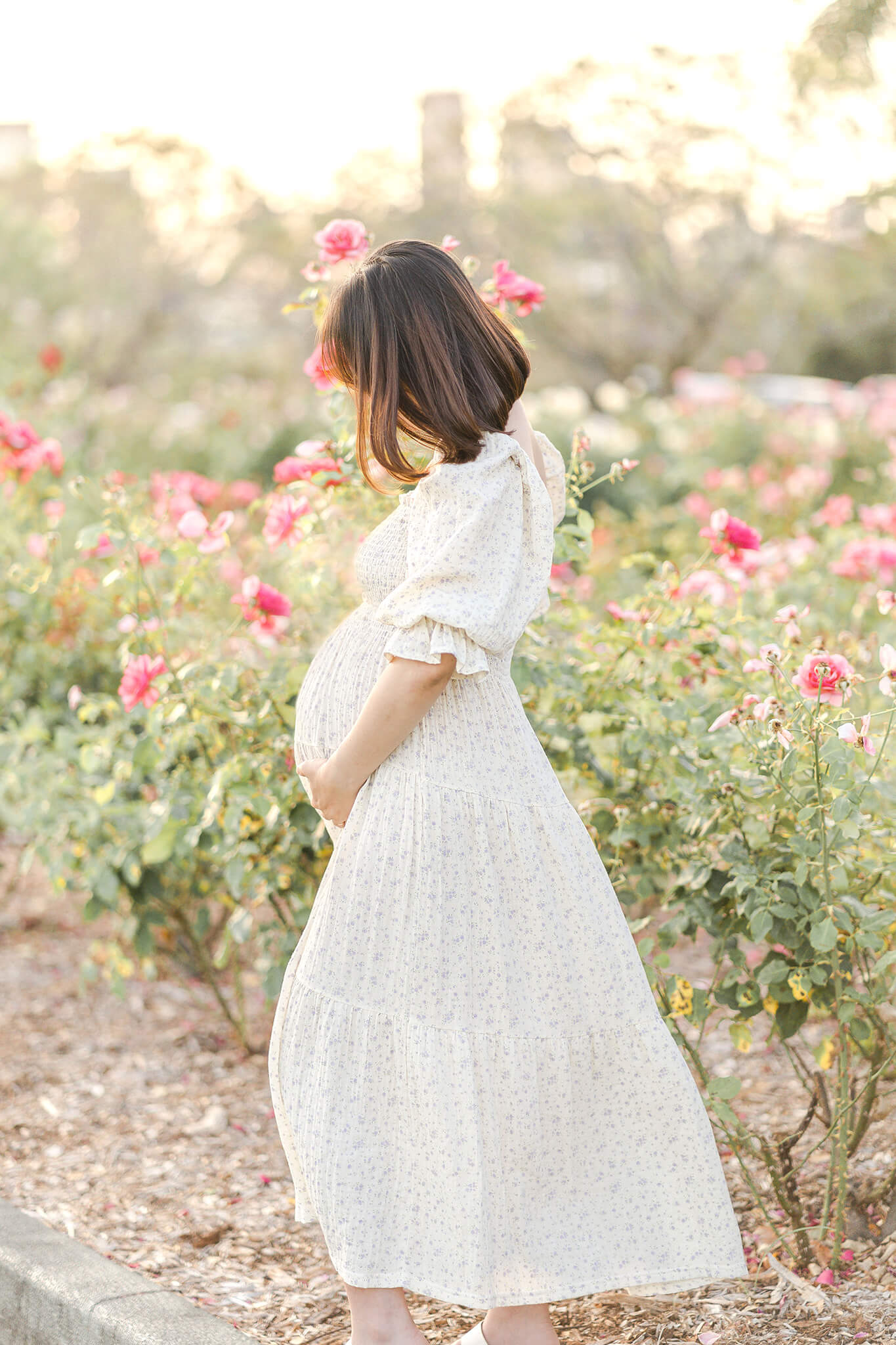 korean girl having maternity photoshoot in new farm rose garden with hikari brisbane maternity photographer