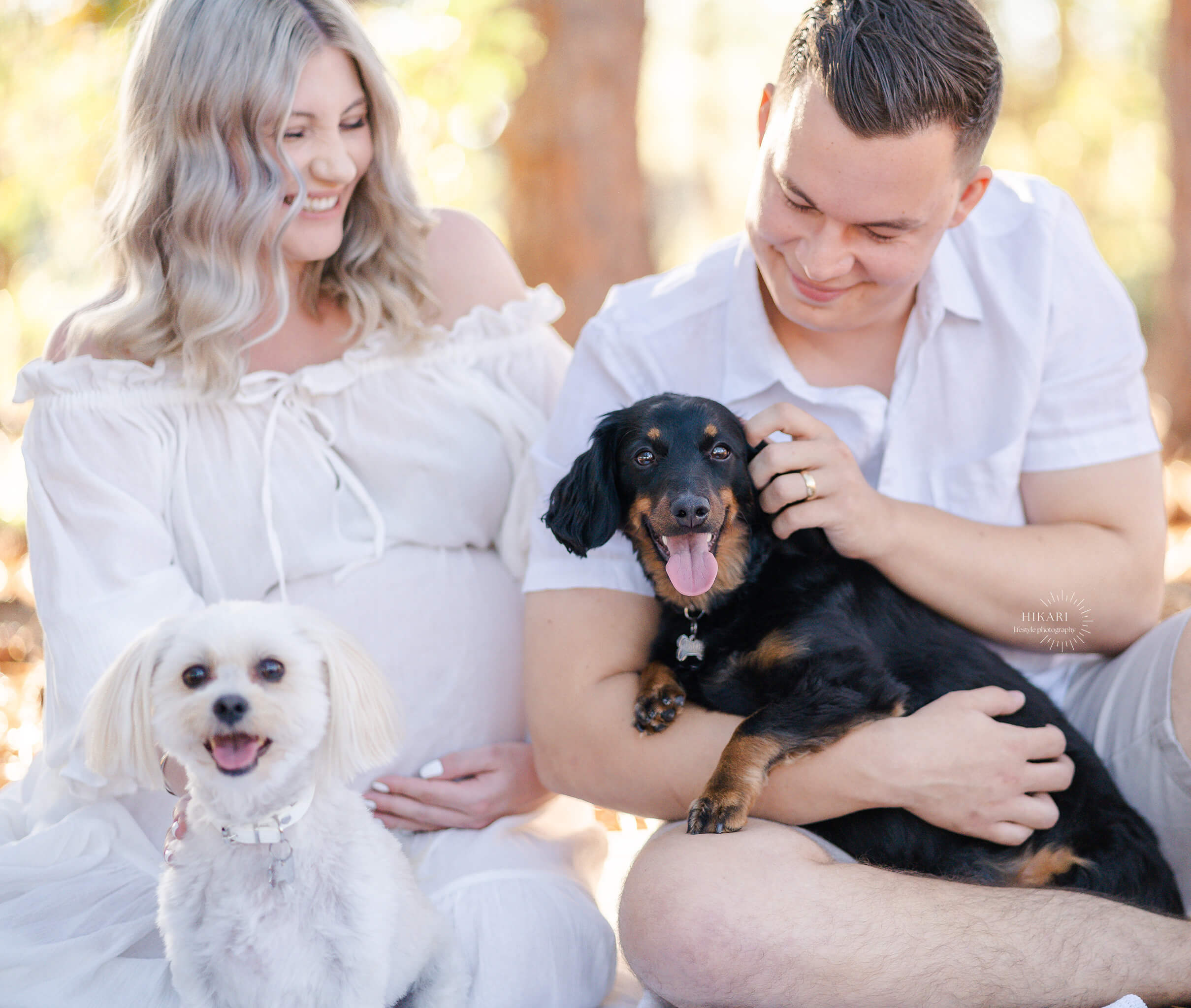 couple having maternity photoshoot with two dogs in forest setting in gold coast.